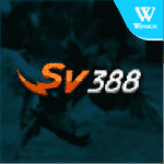 11-SV388-211x211_MY-150x150-min